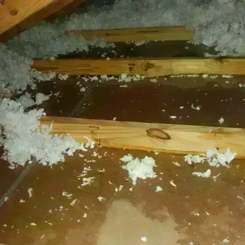 Attic Water Damage in Pratt, KS