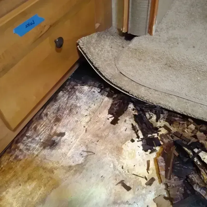 Wood Floor Water Damage in Pratt, KS